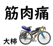 881309532