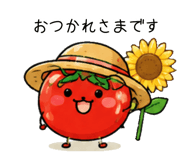 881312234