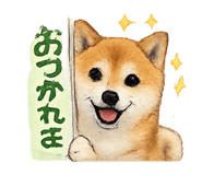 881317812