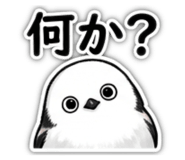 881318539