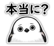 881318543