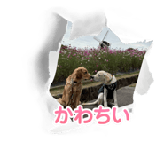 881318610