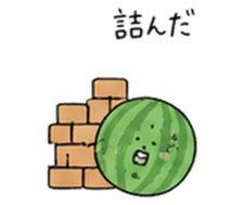 881320505