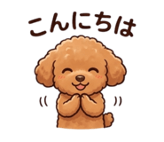 881322935