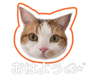 881324941