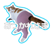 881324944