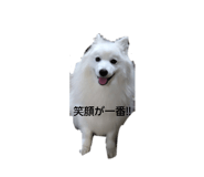 881326625