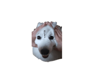 881326627