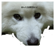 881331672