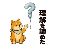 881332555
