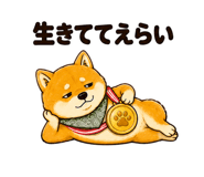 881332565