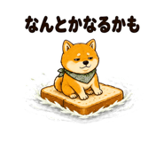 881332567