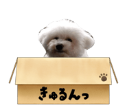 881335078