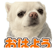 881335105