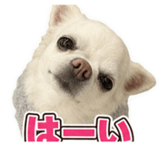881335109