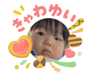 881336445