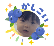 881336453