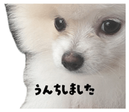 881339492