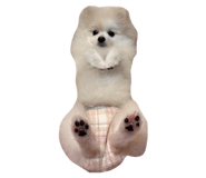 881339524