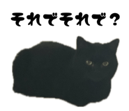 881341485