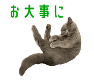 881341494