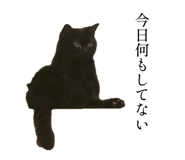 881341498