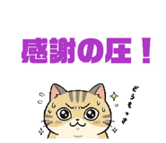 881343065
