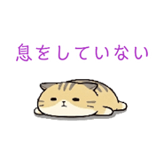 881343066