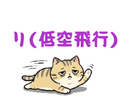 881343067