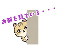 881343068