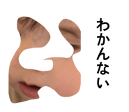 881345261