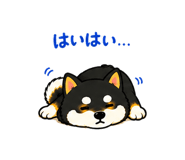 881345687