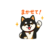 881345696