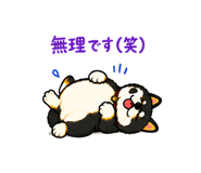 881345699