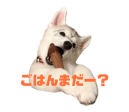 881346514