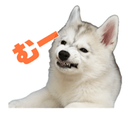 881346519
