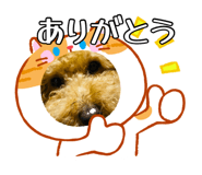 881346945