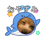 881346948