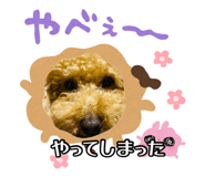 881346949
