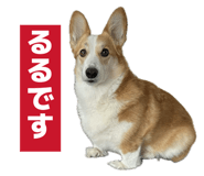 881348298