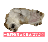 881348301