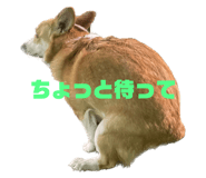 881348309