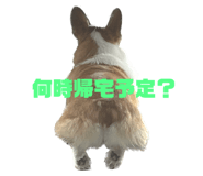 881348311