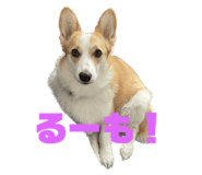 881348312
