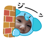 881351664