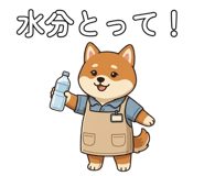881354293