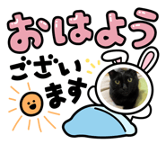 881364107