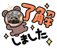 881364109
