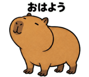 881368797