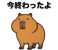 881368802